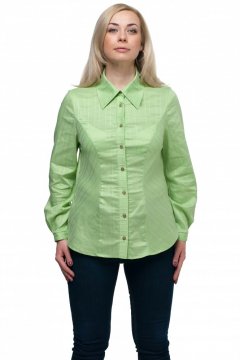 Блуза "Олси" 1610008/2 (Светло-зеленый)